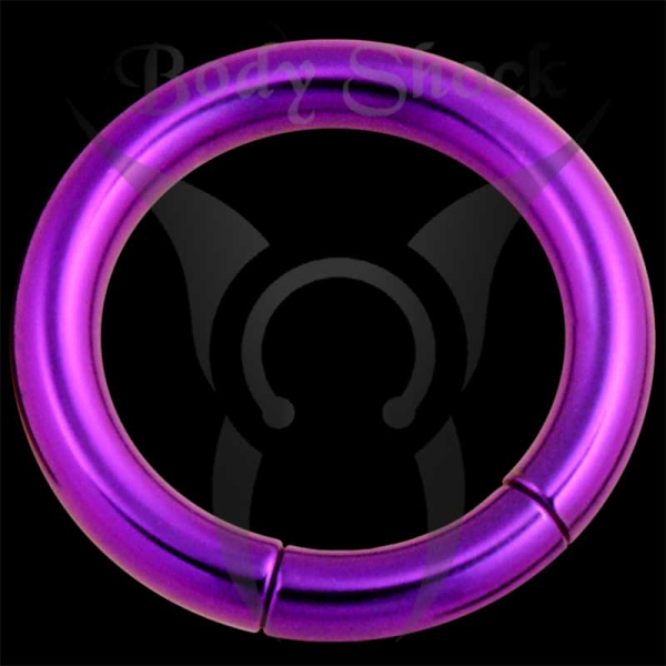 Titan - Smooth Segment Ring 1,6 mm